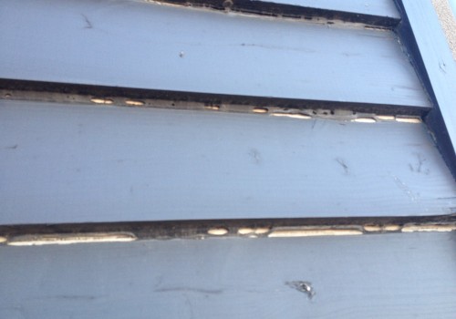 Painting weather boards, shrinking in Melbourne Yarraville