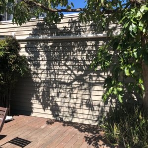 Exterior Painting Hawthorn