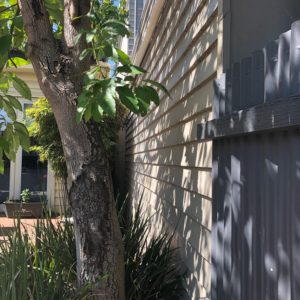 Exterior Painting Hawthorn