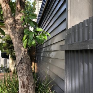 Exterior Painting Hawthorn